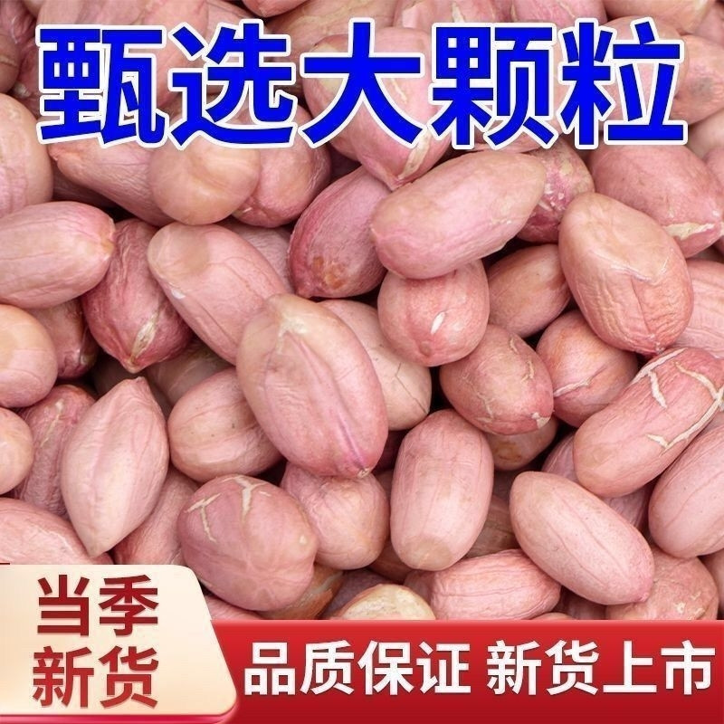 【新货5斤】精选大颗粒新货白沙花生新花生米农家自产精选圆粒