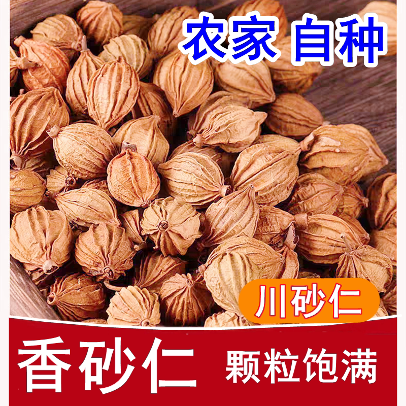 香砂仁四川香砂正宗沙仁火锅无硫家用商用调味料大料正宗无硫散装