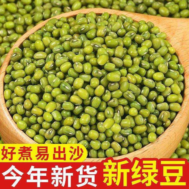 【新货5斤】正宗新货生绿豆绿豆粥煲汤料发芽营养颗粒饱消暑煮粥