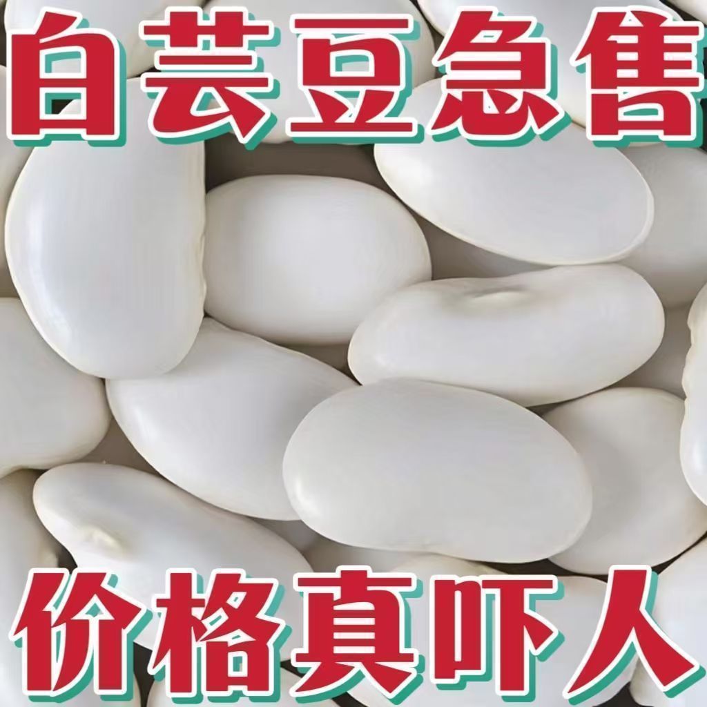 【农家自卖】正宗云南大白芸豆大白豆雪豆炖汤大白云豆干货新货