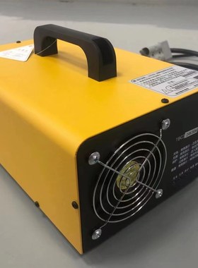 林德叉车托盘搬运车堆高车全自动充电机E24V/30A/40A/45A充电器