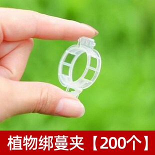 绿植果树植物固定夹卡扣藤蔓固定器秧苗爬藤支撑杆果蔬秧苗吊秧夹