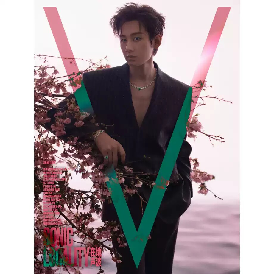 V中文版2026年5期 成毅封面 期刊杂志/时尚COSMO时尚伊人杂志5月刘浩存封面/大众电影杂志杨超越5月封面