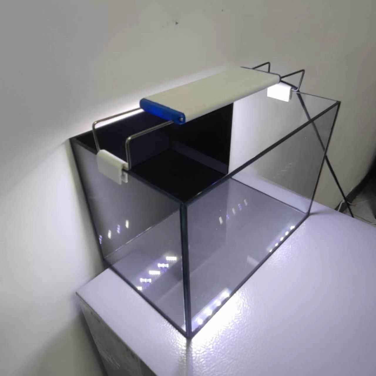 家用小型鱼缸黑背景鱼缸玻璃直角鱼缸雷龙缸客厅办公室桌面小鱼缸