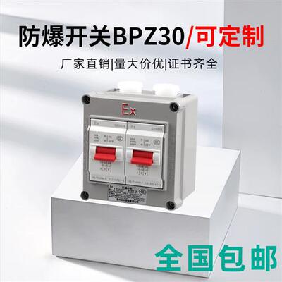 国标防爆墙壁开关三相380V220V断路器空开盒照明配电箱松大BPZ30