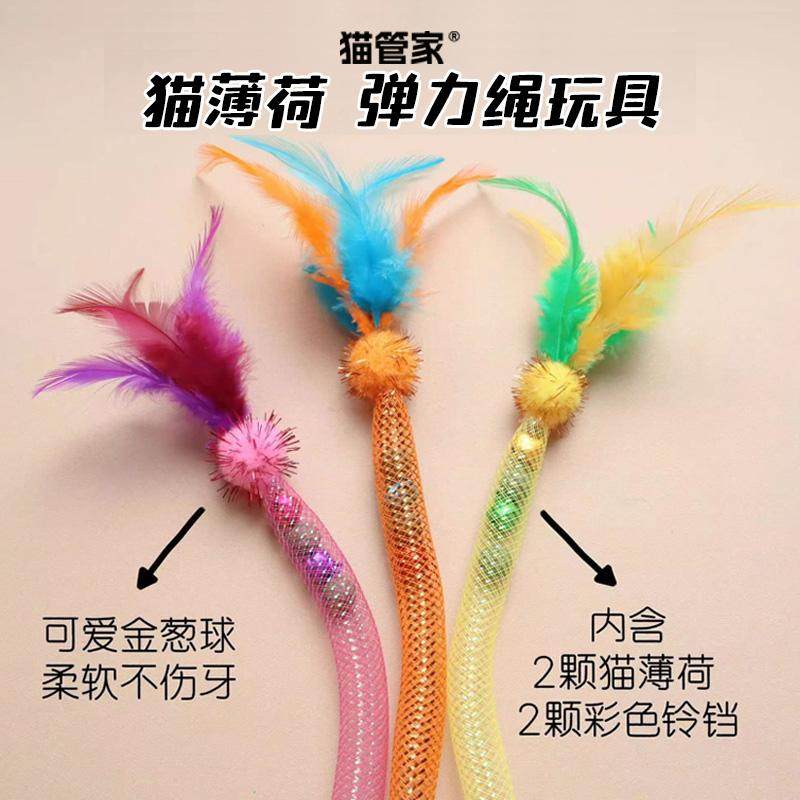 猫咪咬咬弹力绳玩具磨牙耐咬猫薄荷逗猫棒自嗨解闷羽毛猫玩具用品,宠物/宠物食品及用品,逗猫棒,淘宝优惠券,粉丝福利购,淘宝优惠卷
