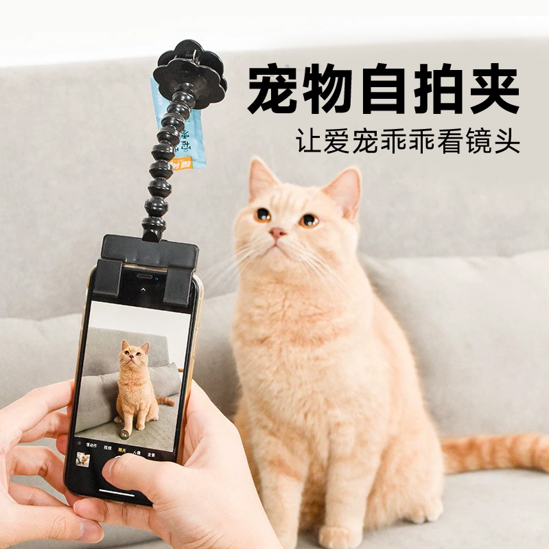 猫咪狗狗自拍杆宠物拍照玩具