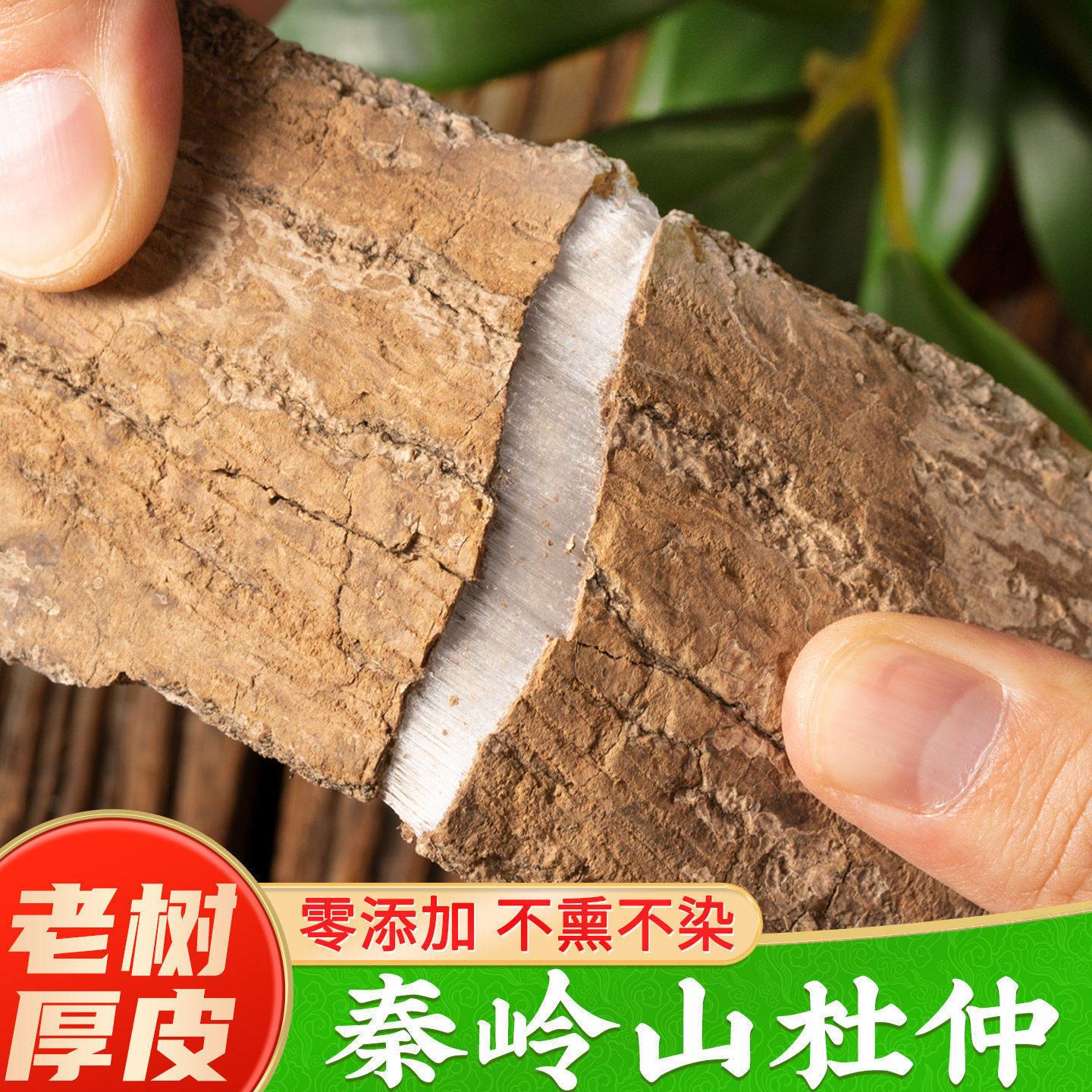 精选四川杜仲材500g野生老杜仲皮肉苁蓉巴戟天杜仲粉泡茶