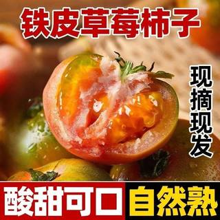 丹东盐碱地铁皮柿子草莓柿子5斤绿腚碱地油柿铁皮西红柿水果番茄