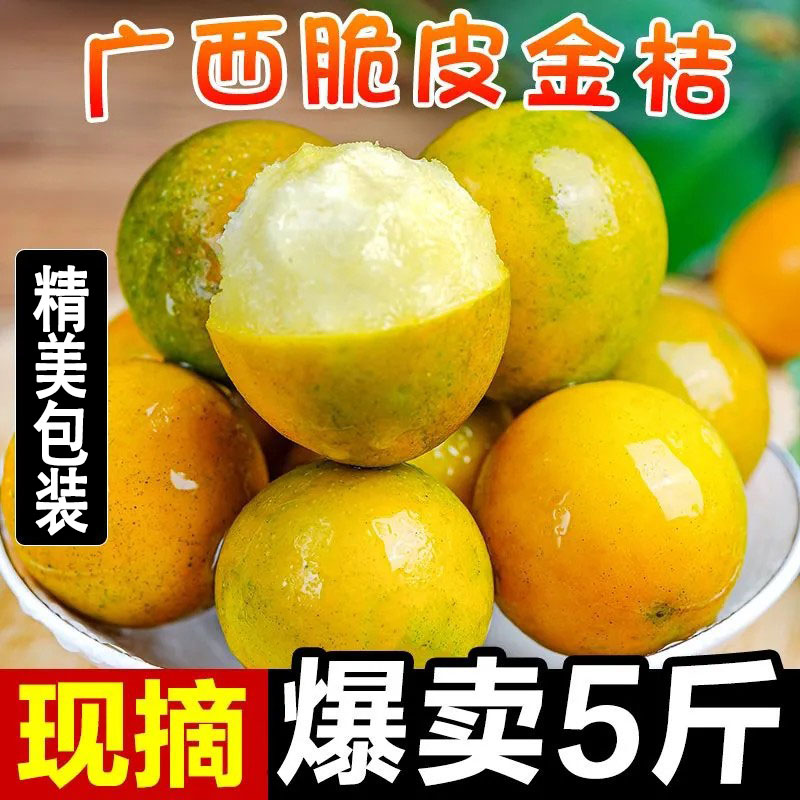 广西脆皮金桔新鲜纯甜无籽应当季滑金桔皮大果孕妇水果现摘包邮