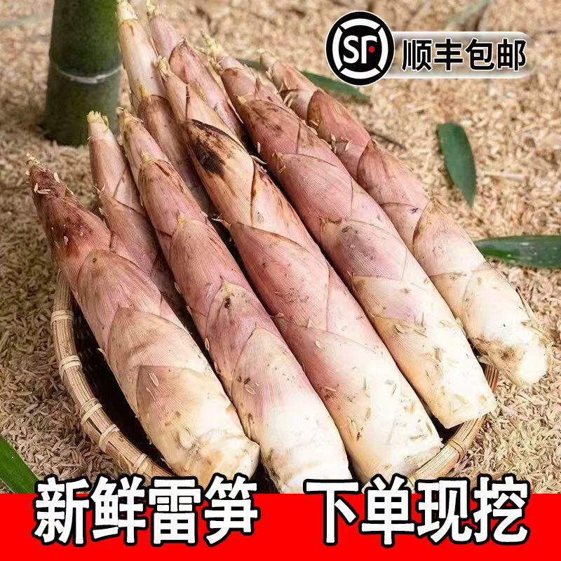 【顺丰包邮】新鲜现挖雷竹笋小竹笋带壳竹笋小雷笋春笋黄泥鞭笋