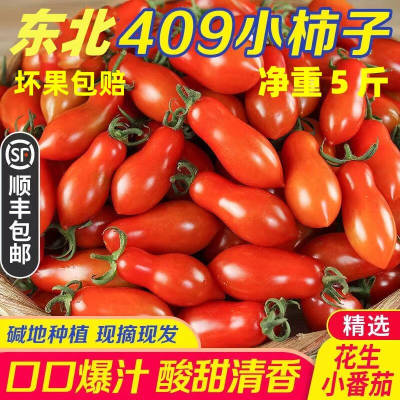 丹东409小柿子口感小番茄水果柿子新鲜花生柿子脆甜千禧顺丰包邮