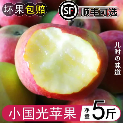 东北国光小苹果5斤当季大果正宗丑富士特产新鲜批发整箱孕妇水果