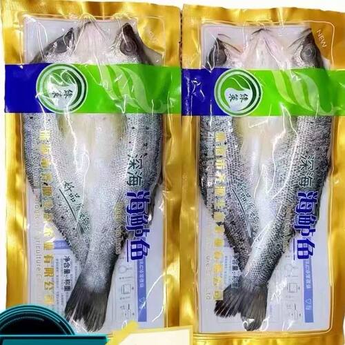 海鲈鱼冰冻开背20斤新鲜冷冻半成品整箱烤鱼纸包商用批发酒店食材