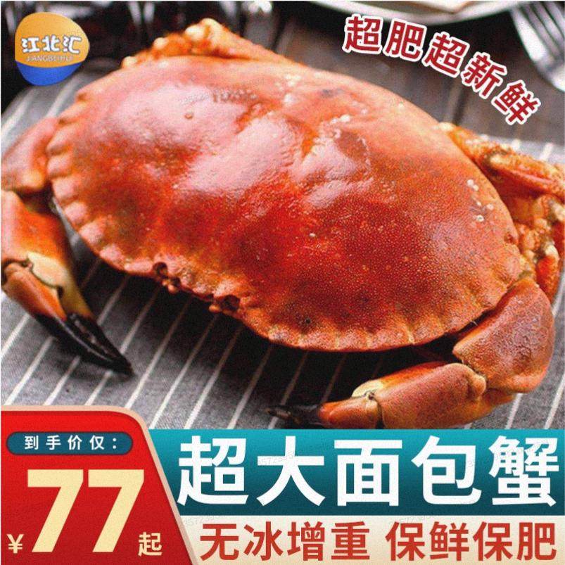 面包蟹熟冻超大分味值