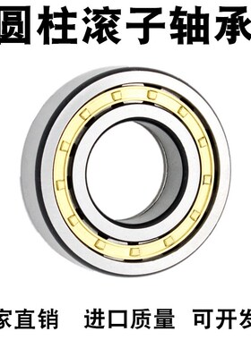 VTYG圆柱滚子轴承 N NU NJ RN NUP 2308 2309 2310 2311 EW EM C3