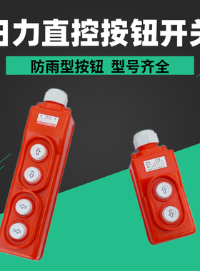 宝鼎CLD621日力COB-21P22P直控开关防雨电动葫芦上下有线两四按钮