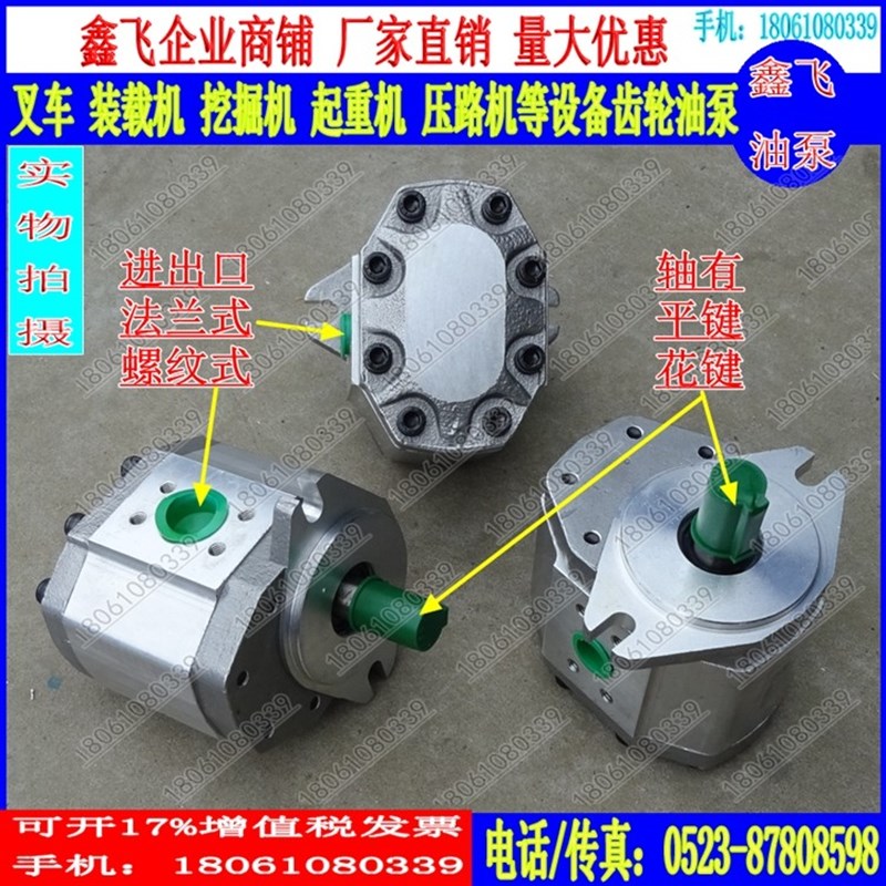 CBQ-G520/G525/G532/G540/G550/G563/ALP/AFP高压齿轮泵AFHL CFPL