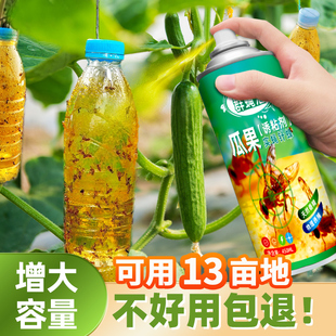 瓜果蝇诱粘剂实蝇诱捕器粘板除小果蝇残翅幼虫灭杀神器大棚群蝇汇