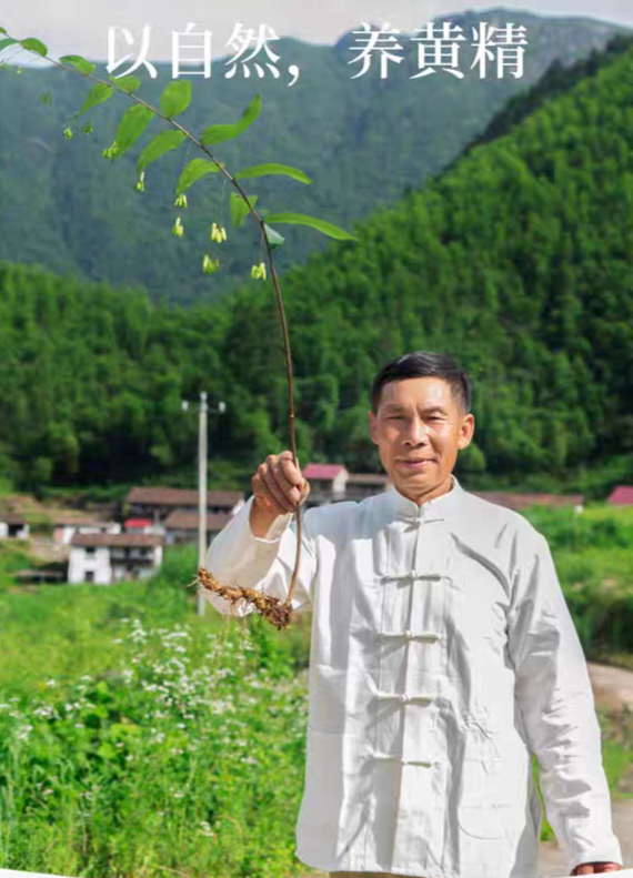 思乡赣品精方茶5g*25包白茶/红茶/普洱茶饮饮食同源黄精茶