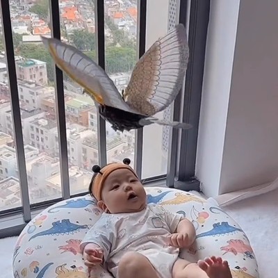 仿真吊线老鹰玩具鹦鹉发声