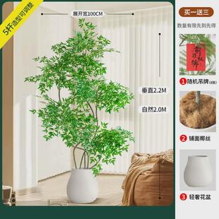 仿真绿植客厅盆栽高端轻奢南天竹室内大型仿生植物造景装饰花盆景