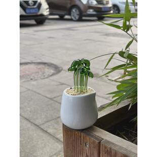 淄博琉璃摆件博山多肉豆芽盆栽仙人掌铃兰花植物水晶玻璃创意