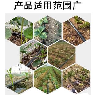 PE管微喷灌溉管大棚喷灌果树滴灌主管农用灌溉水管16pe无孔滴灌管