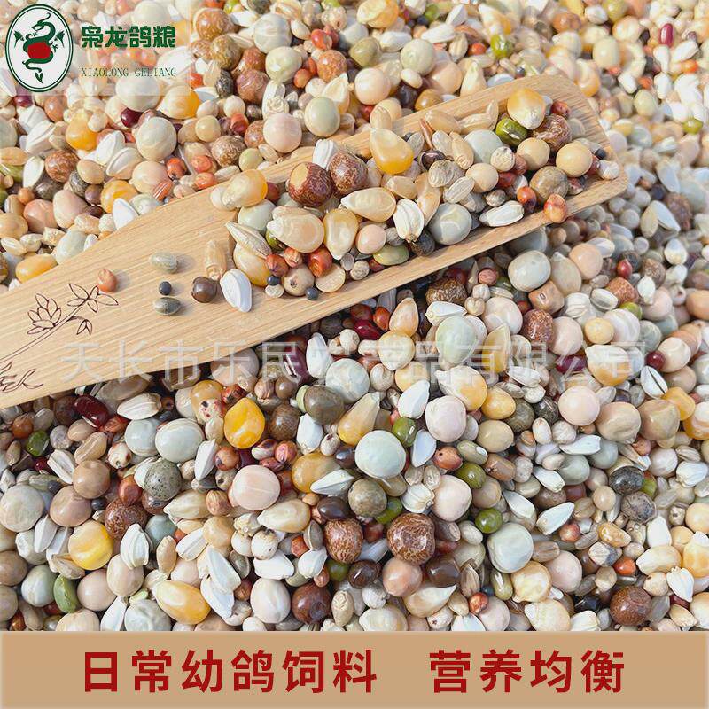 枭龙鸽爆米花能量幼鸽赛鸽粮信鸽50斤浙江沪皖包邮