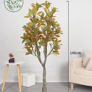 高端仿真变色木洒金榕假树植物落地盆栽客厅室内花装饰假绿植盆景