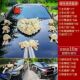 头车装 饰花婚车车头花主全套副车花结拉花婚车队吸盘式 花车