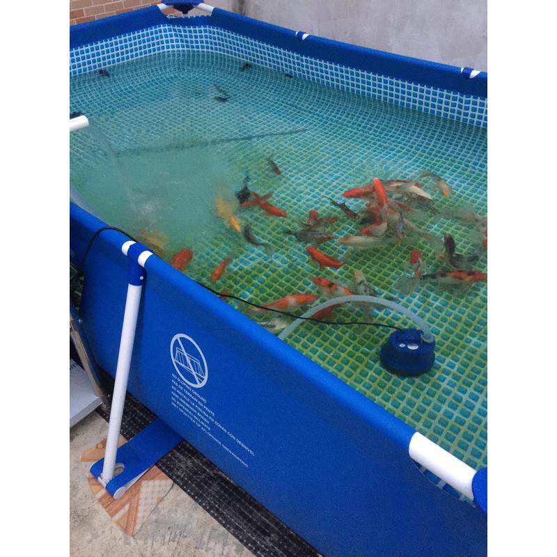 刀刮布池金鱼锦鲤暂养帆布鱼池水族箱折叠支架水池养鱼池金鱼缸