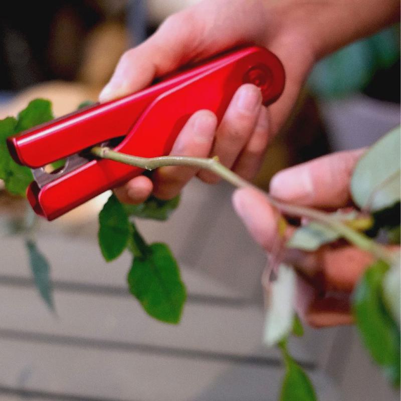 打刺钳玫瑰打刺钳塑料玫瑰花鲜花花泥打刺钳去刺宝夹子家用网红款