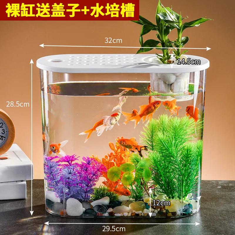塑料鱼缸透明桌面小型家用景缸微金鱼缸客厅办公室绿植造景乌龟缸