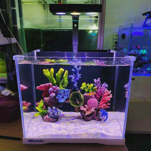 海魔方迷你海水珊瑚客厅全套超白桌面鱼缸t系列鱼缸水族箱小型