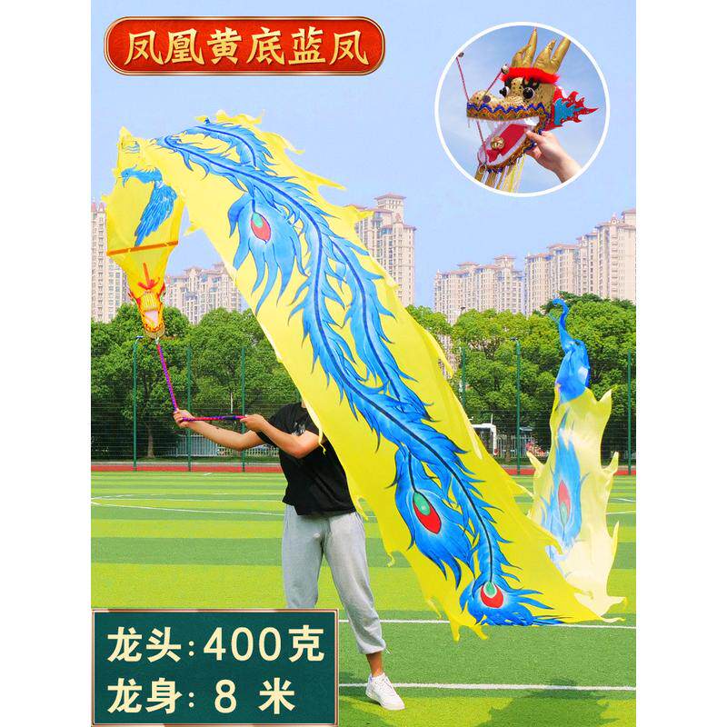 舞龙健身甩龙带甩龙头成人甩龙广场舞龙带彩带中老年健身表演道