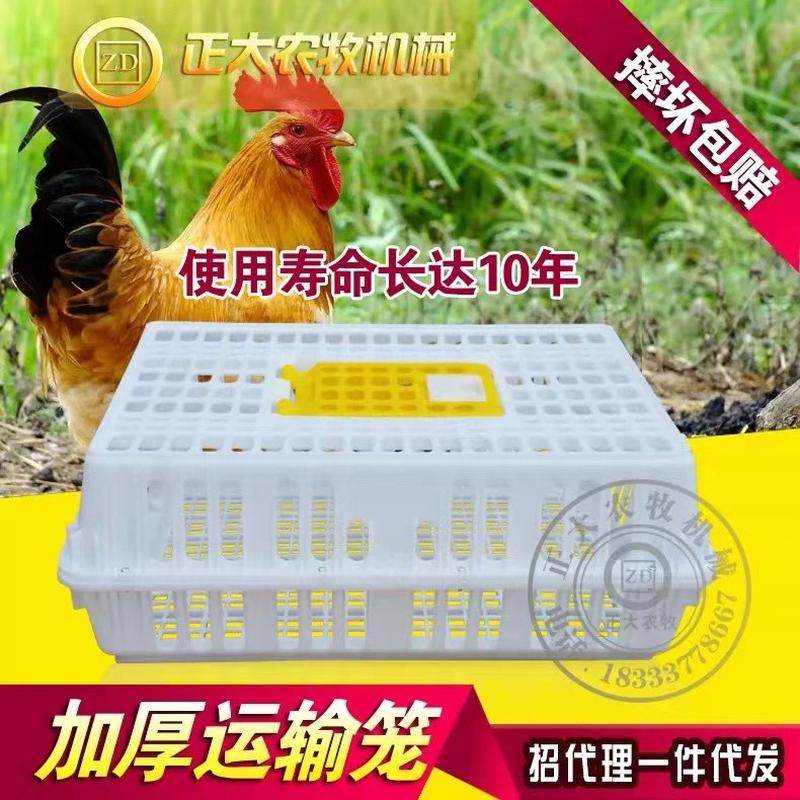 鸡运输笼塑料运输鸡笼鸡用周转箱成鸡鸭鹅兔鸽用鸡笼鸡筐禽鸡筐,畜牧/养殖物资,养殖用具,淘宝优惠券,粉丝福利购,淘宝优惠卷