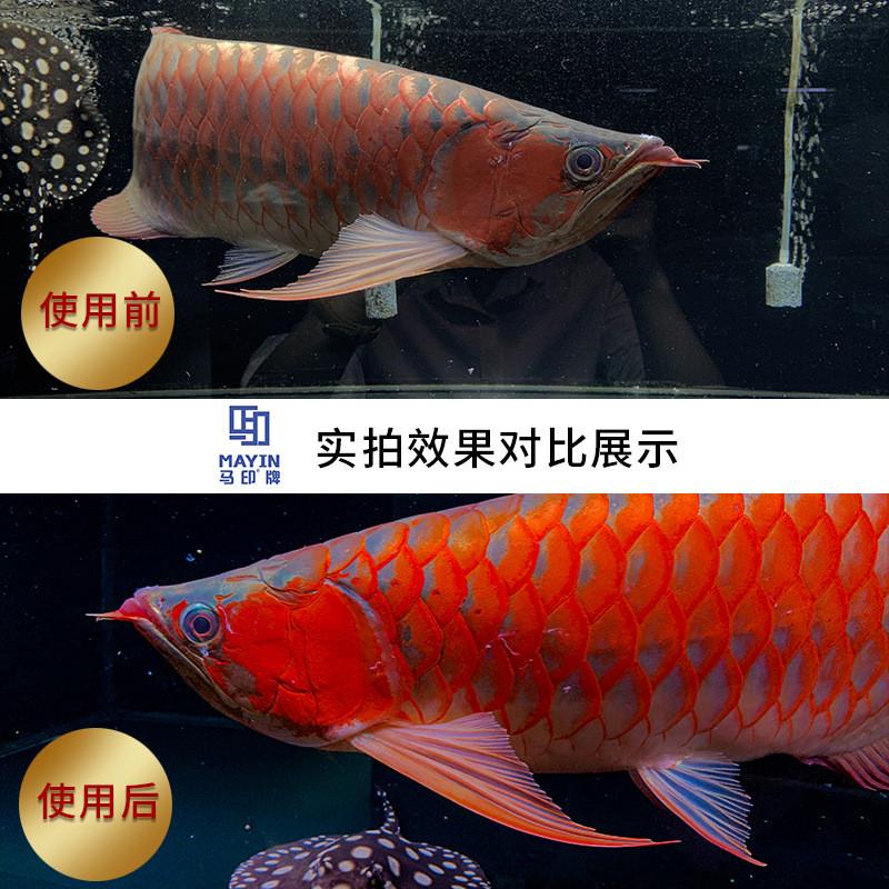 马增神灯三基色水中灯龙鱼灯印色灯水族箱照明led鱼缸灯led