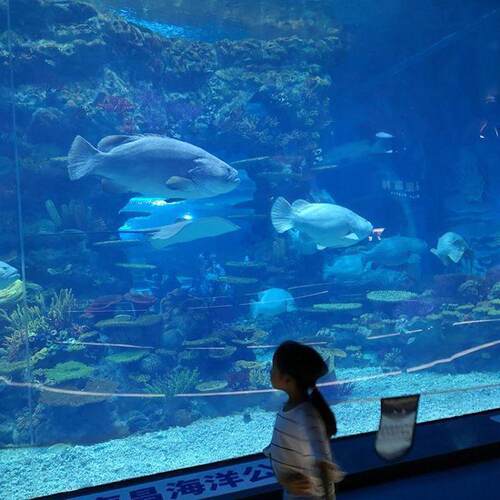 海洋馆鱼缸亚克力大型制作水族工程高透明亚克力板建造厂商供应