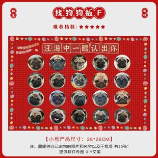 接亲堵门游戏找宠物kt板婚礼小道具找狗狗猫咪文明创意氛围小游戏