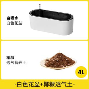 盆栽种菜种花小花箱 阳台家用自吸水长方形花盆玫瑰种植盆月季