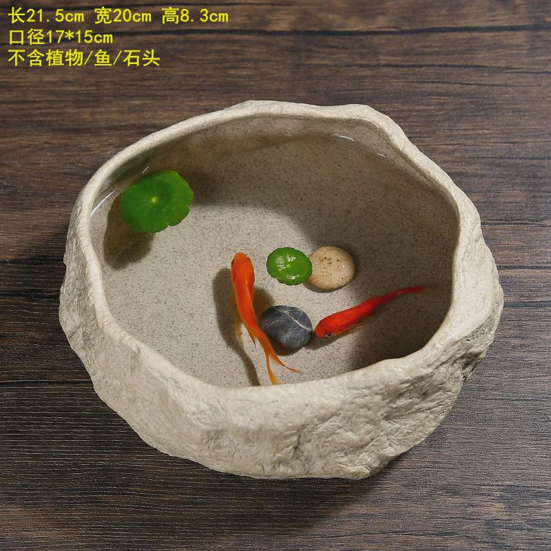 阳台养鱼池家用室内楼顶乌龟古法养小鱼缸造景全套生态水培池碗盆
