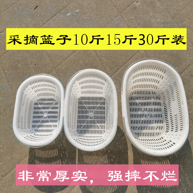 524塑料篮葡萄篮10斤15斤30斤装商用采摘框水果框白色大号草莓果