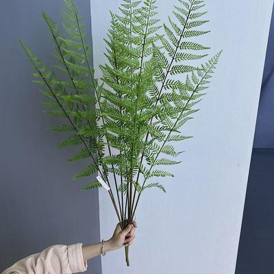 仿真马耳蕨鳞毛蕨绿植蕨草蕨叶假花微景观植物造景搭配装饰波斯草