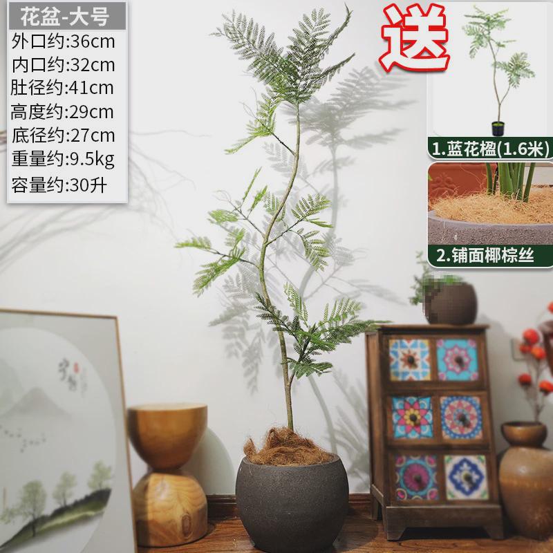 特大口径黑陶鱼缸粗陶花盆户外庭院素烧陶瓷陶罐阳台紫砂养鱼摆件