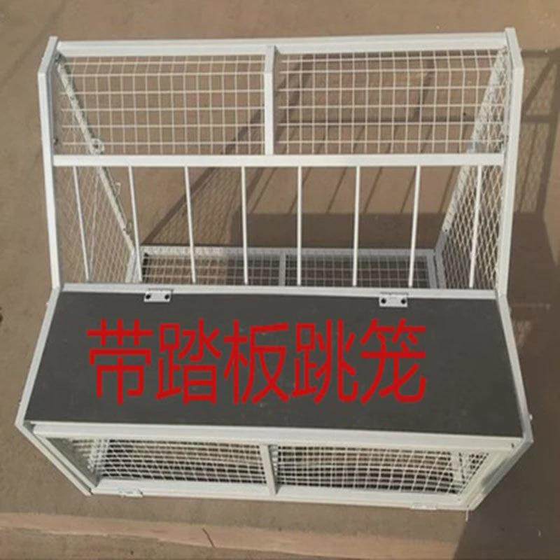 鸽子跳笼进出门信鸽赛鸽用品鸽舍只进不出笼门撞门电子跳笼