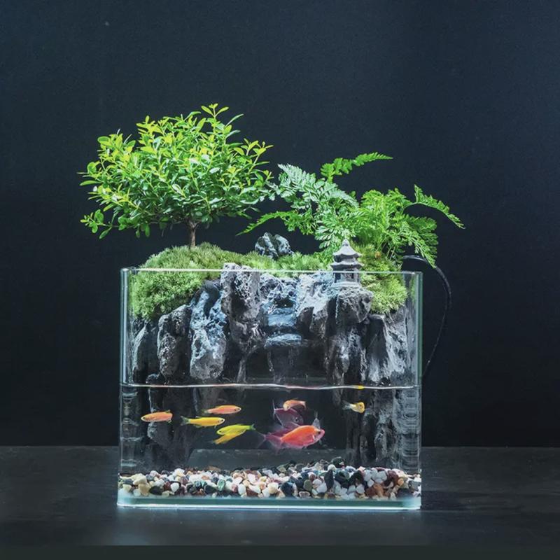 小叶赤桌面生态微景观盆景室内楠植物盆栽水陆景装饰摆件可养鱼