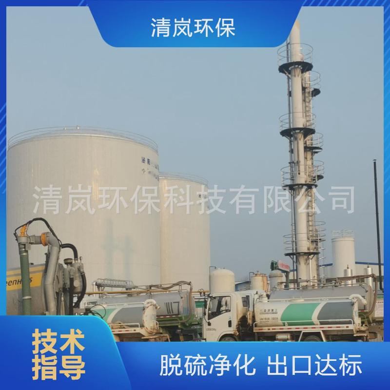 沼气脱硫提纯净化厌氧除臭沼气改造湿法脱硫锅炉沼气利用发电