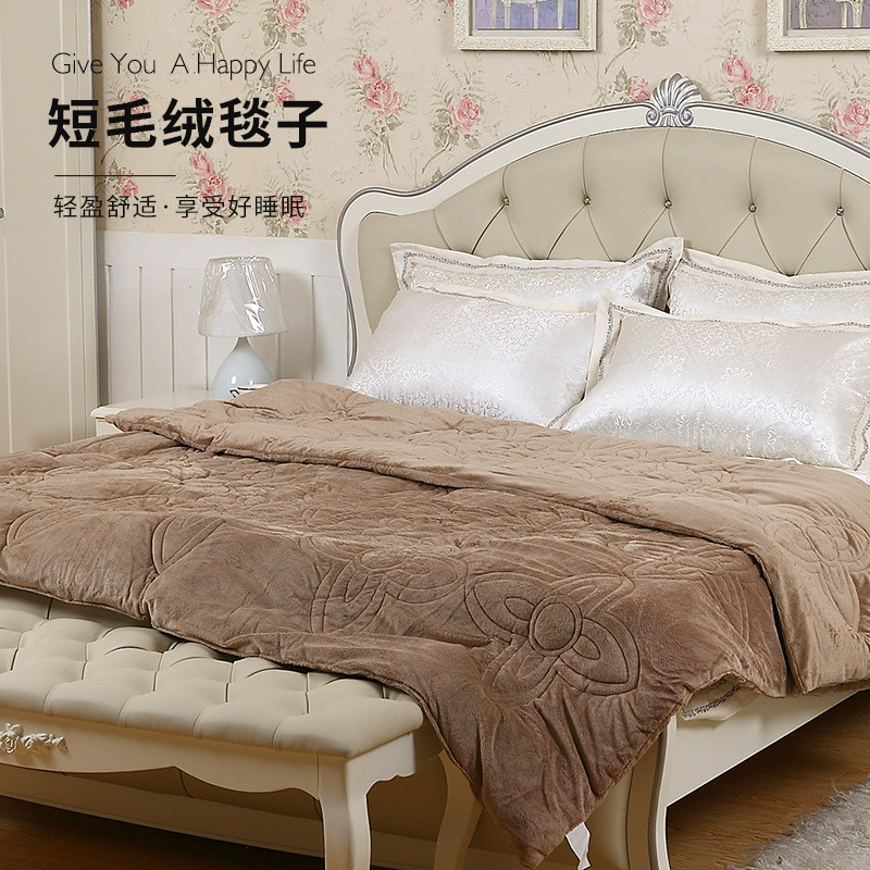 冬季毛绒床单被子加厚空调加绒毛毯子床垫超短毛绒绒毯学生用毛毯