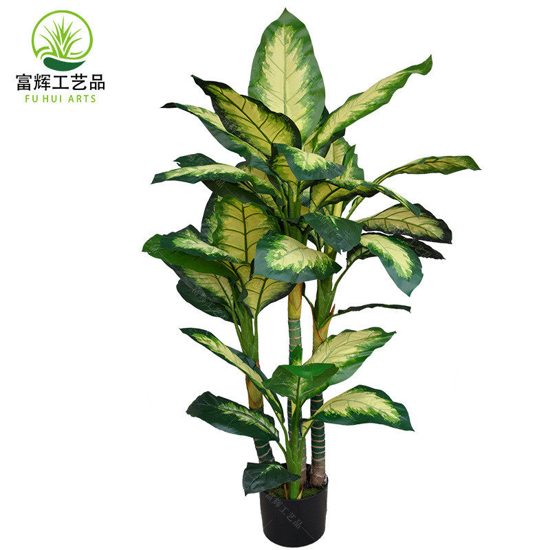 仿真万年青绿植高级感室内物装饰假植物大叶落地假植造景万年青